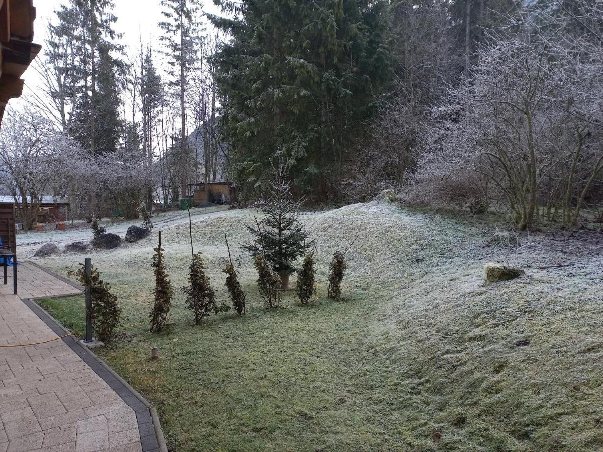 Ferienwohnung Am Wald Waidring Extérieur photo